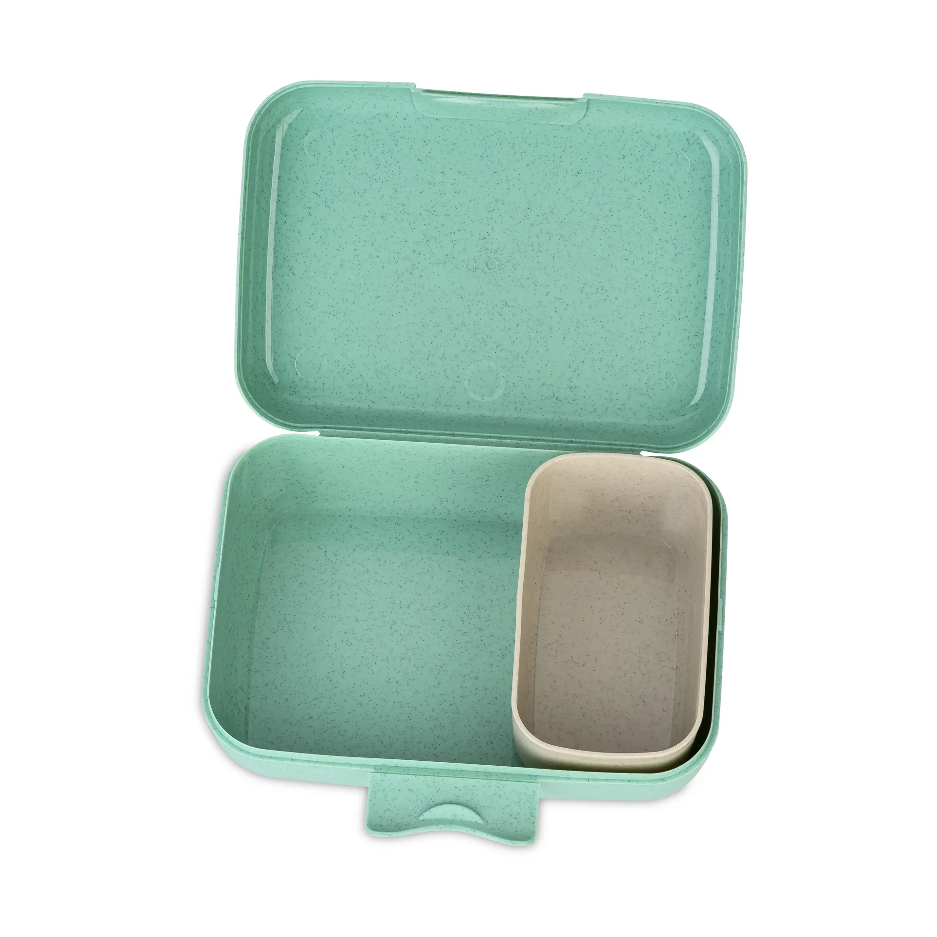 Candy Lunchbox L, Dinosaurier Koziol