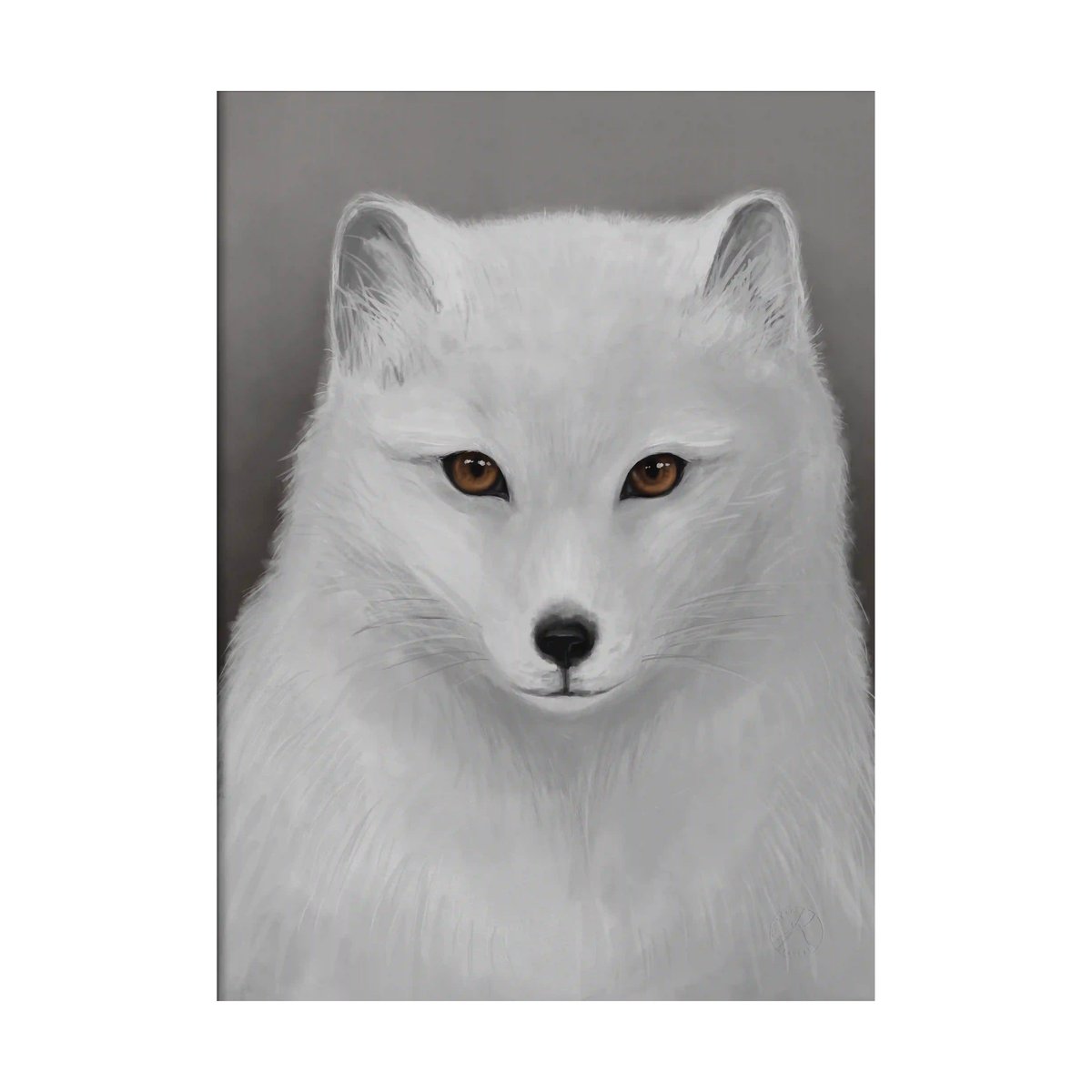 Kunskapstavlan® Fjällräv Poster 50x70 cm