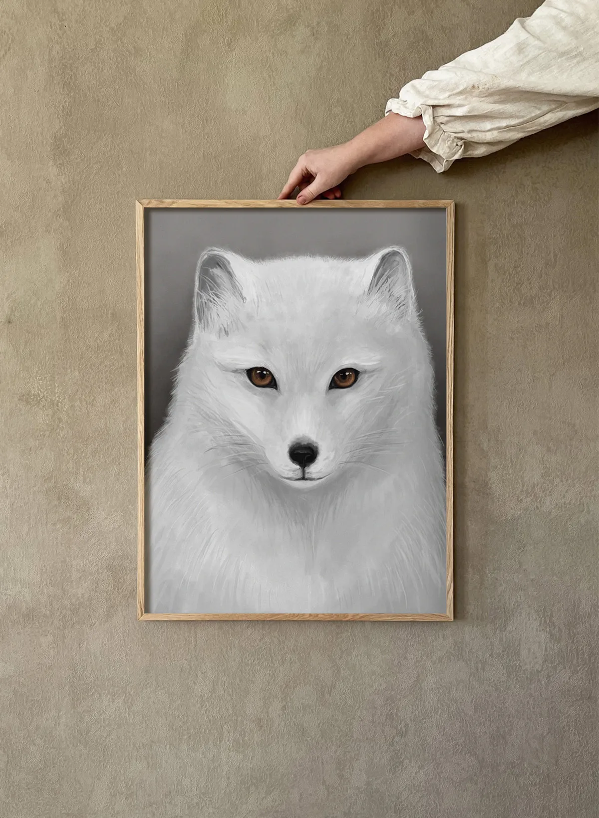 Fjällräv Poster, 50x70 cm Kunskapstavlan®