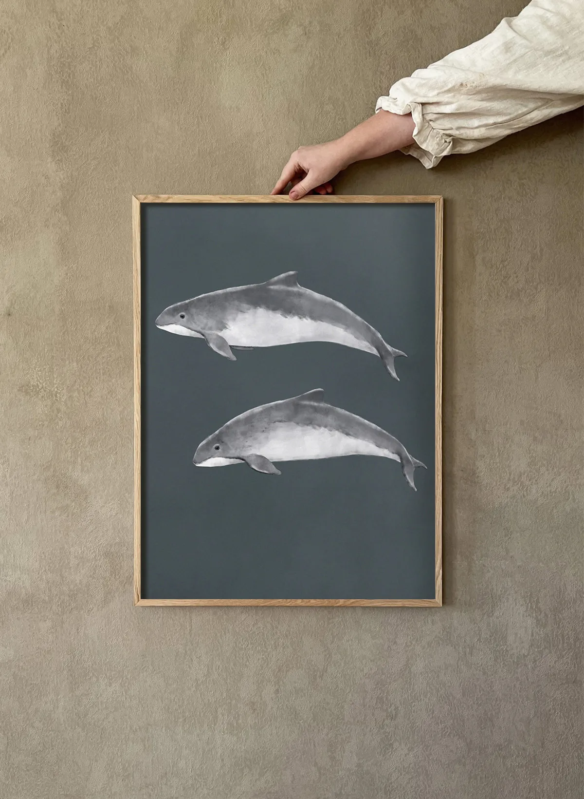 Ostseeschweinswal Poster, 30x40 cm Kunskapstavlan®