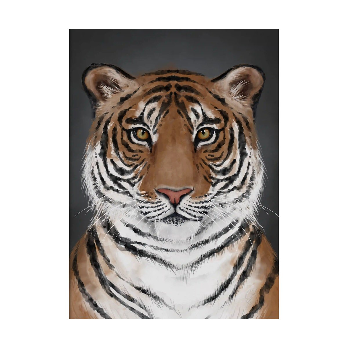 Kunskapstavlan® Tiger poster 30x40 cm