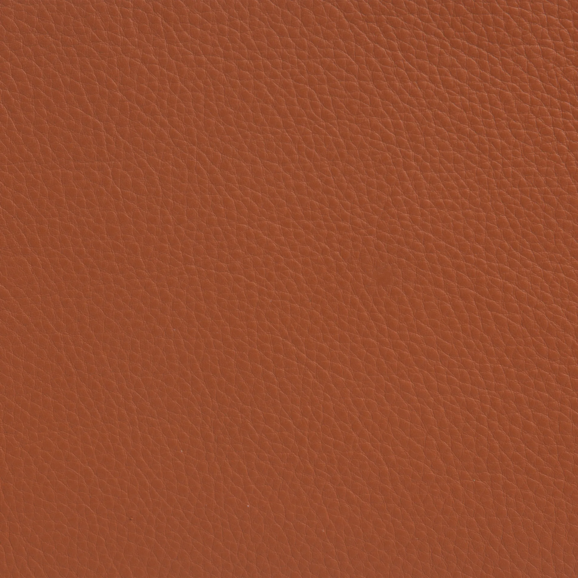 Sunny Sessel mit Armlehnen, Leder Cognac-Chromgestell m. Rädern Lammhults