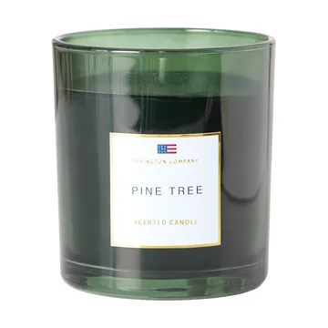 Pine Tree Scented Candle - Pine Tree Duftkerze - Lexington