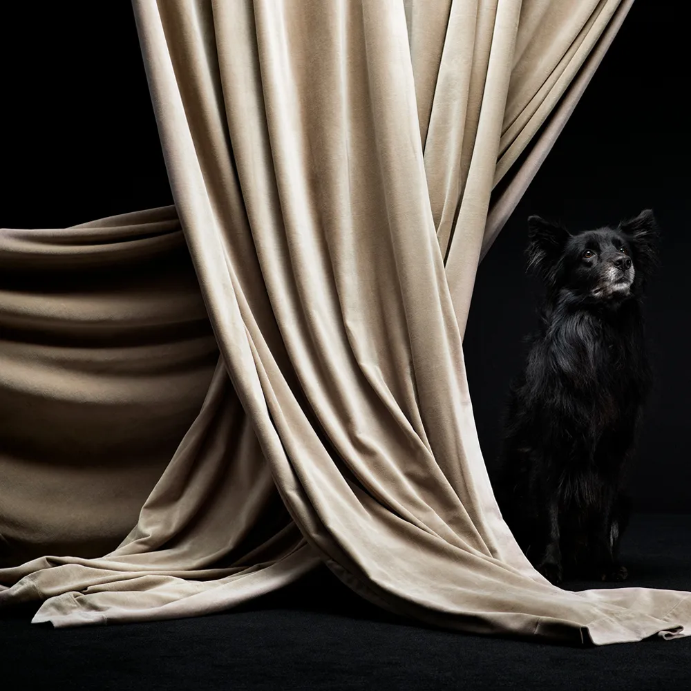 Paolo Gardine mit Bund, Cremebeige Linum