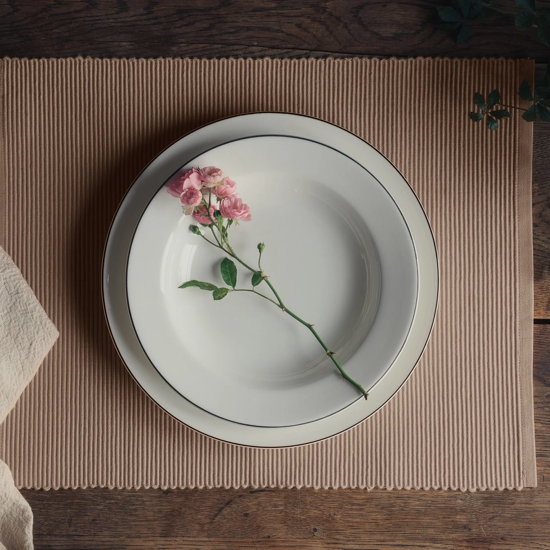 Uni Platzdecke 35 x 46cm 2er Pack, Maulwurf braun Linum