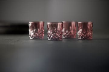 Sorrento Schnapsglas 4 cl 4er-Pack - Pink - Lyngby Glas