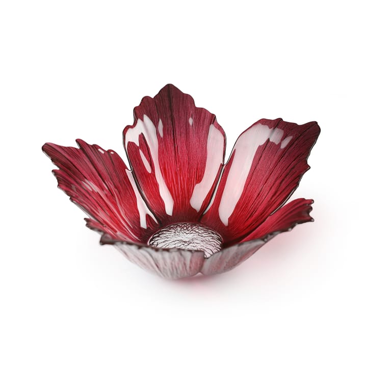 Fleur Glasschale rotrosa - groß Ø23cm - Målerås Glasbruk