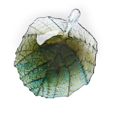 Folia Schale groß - Waldgrün - Målerås Glasbruk