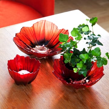 Poppy Windlicht - Rot -schwarz - Målerås Glasbruk