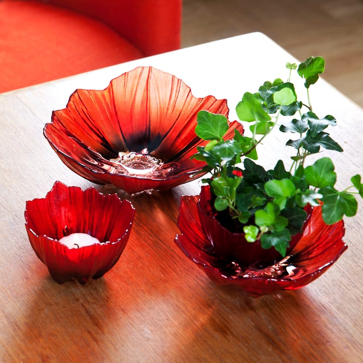 Poppy Windlicht - Rot -schwarz - Målerås Glasbruk