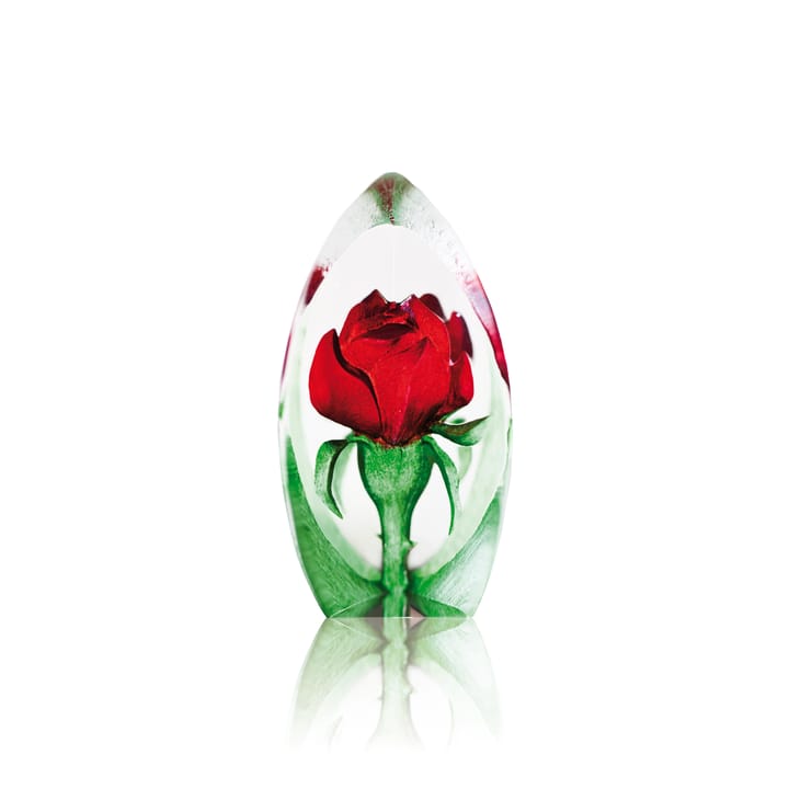 Rosen Glasskulptur - Rot - Måler�ås Glasbruk