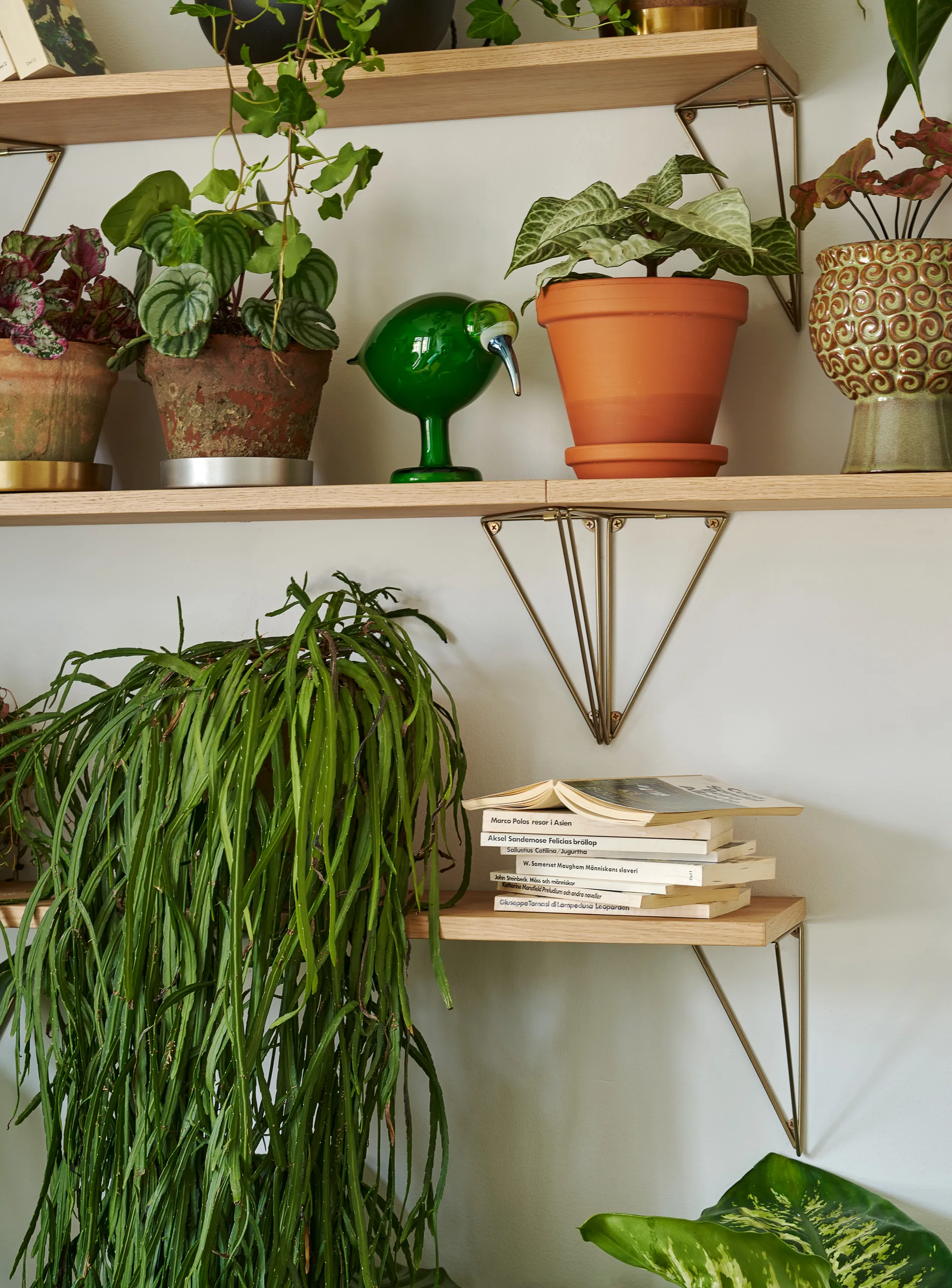 Pythagoras Regalboden, Eiche Maze