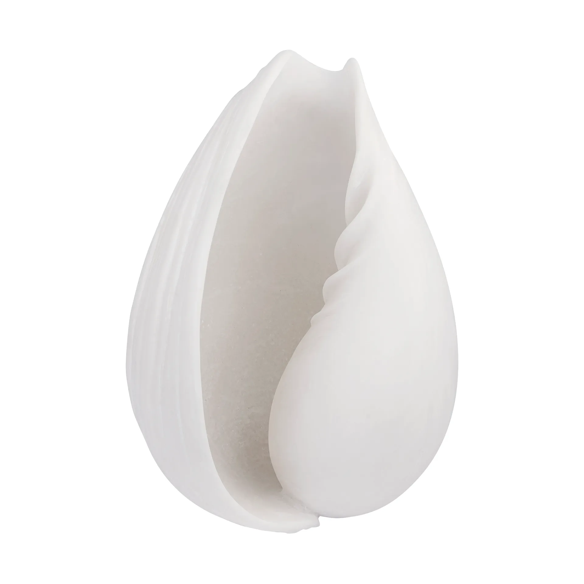 Conch Dekoration Muschel, Small Mette Ditmer