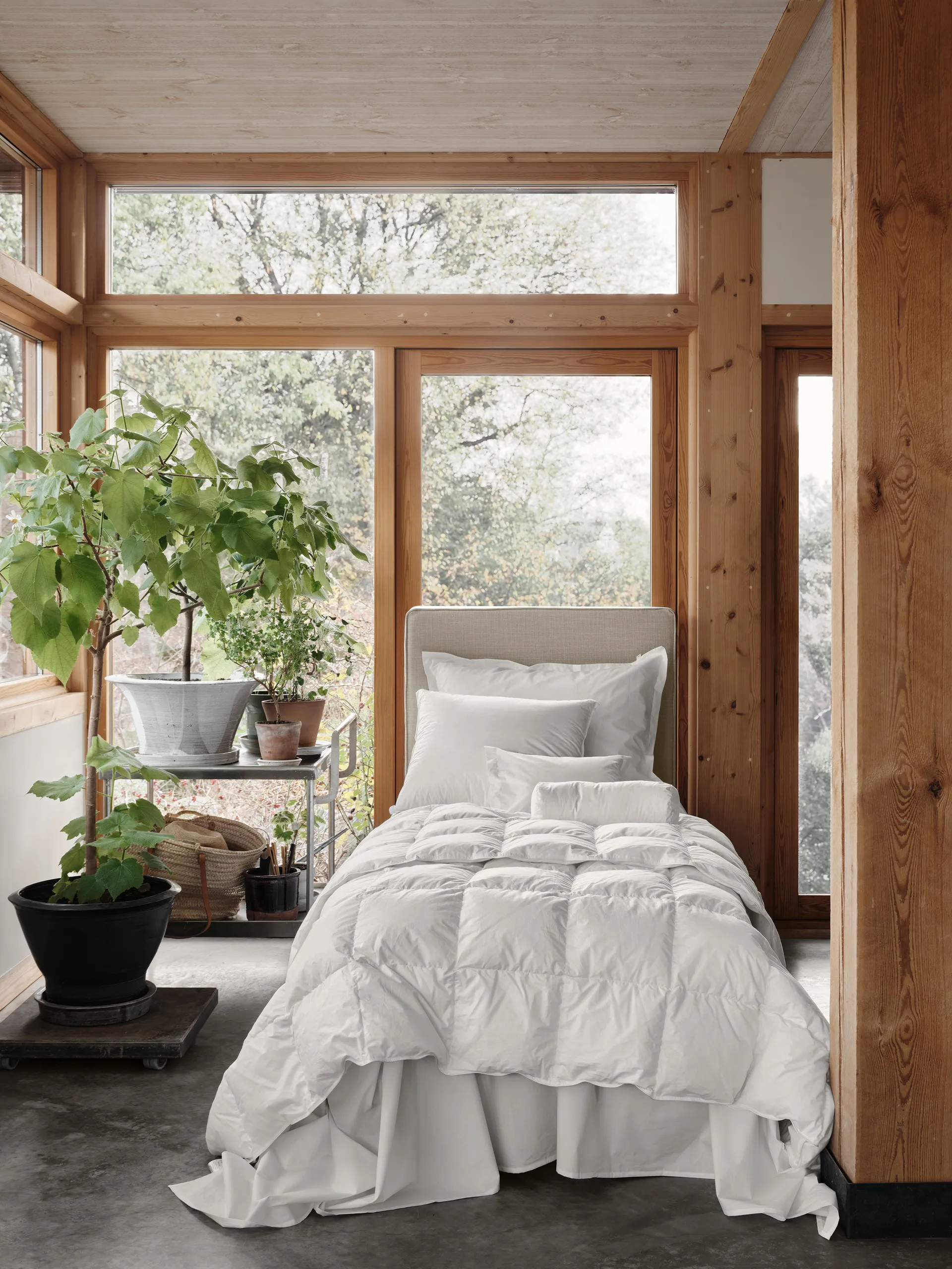 Natura Daunendecke, Weiß, 220 x 220cm, Medium Mille Notti