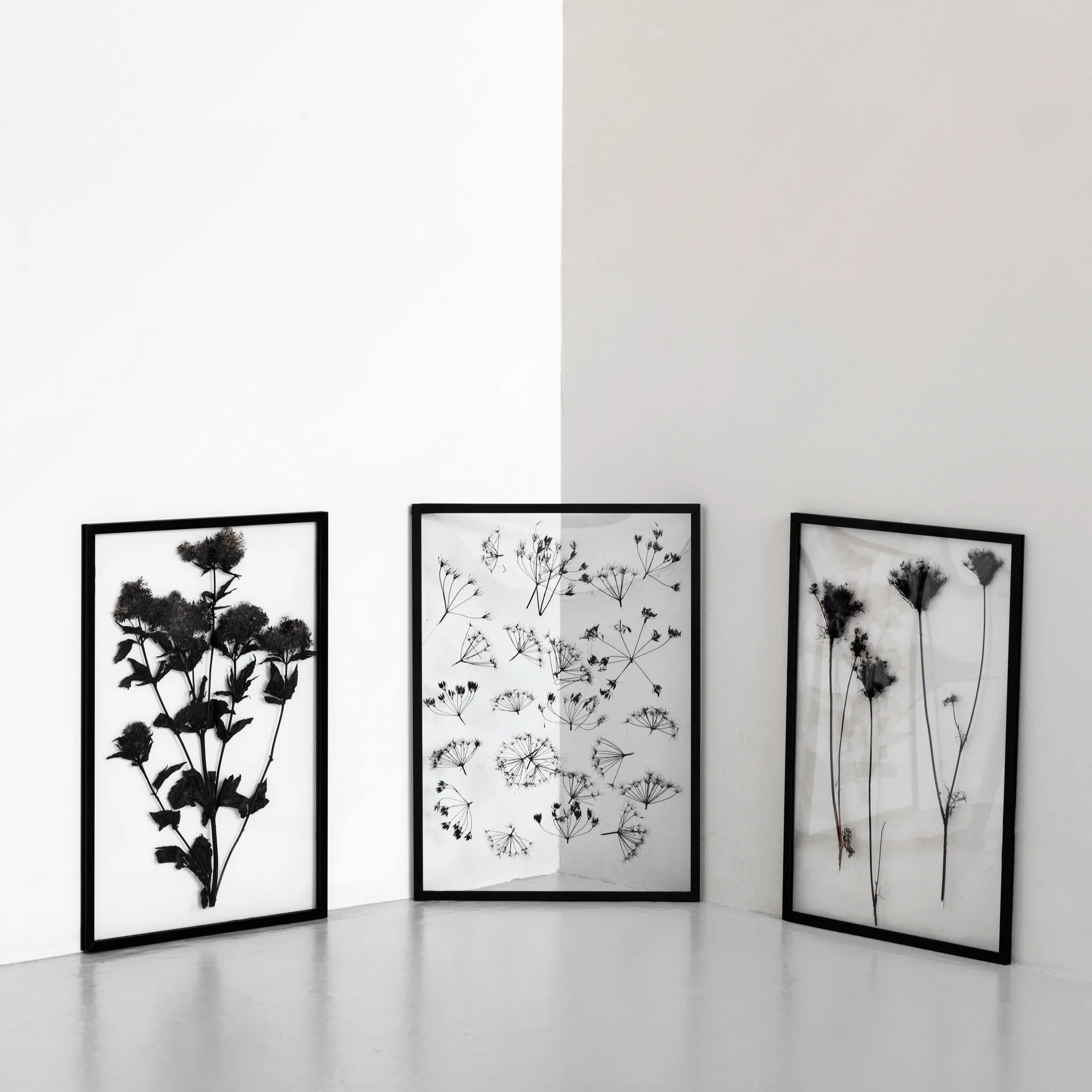 Moebe Frame A2, Schwarz MOEBE