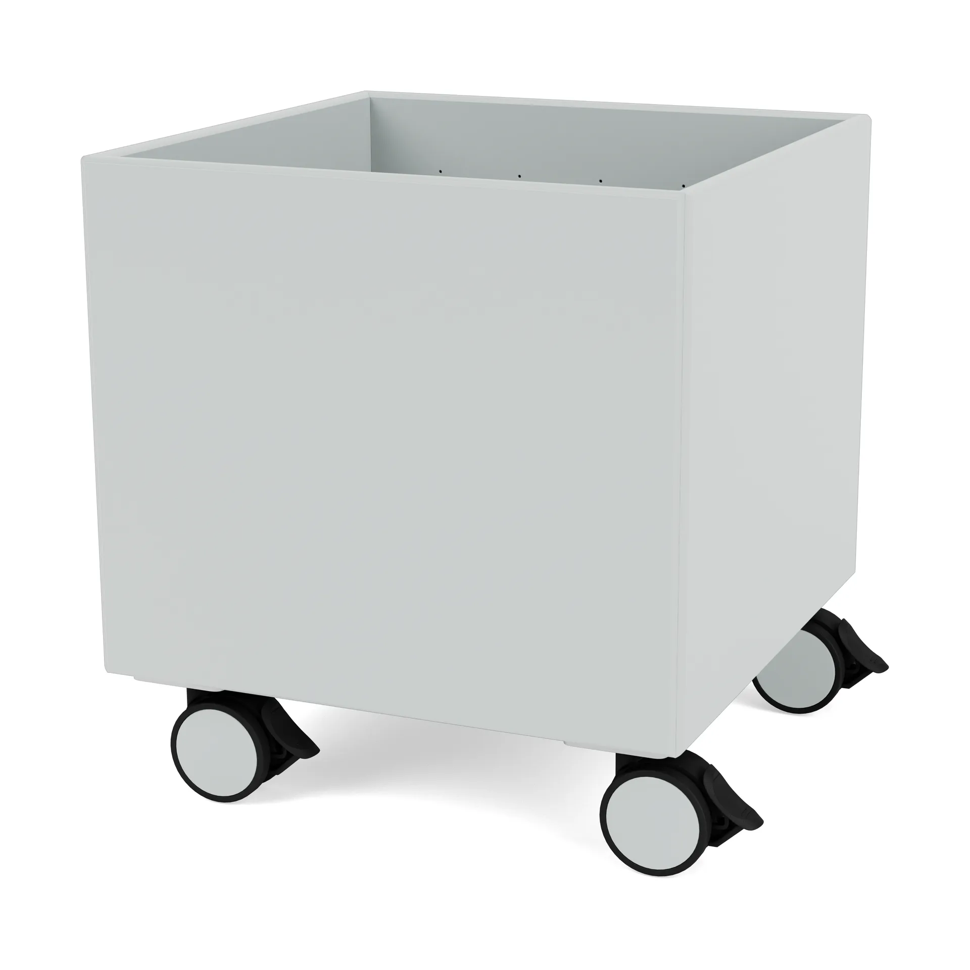 Colour Box I – S6161, Oyster Montana