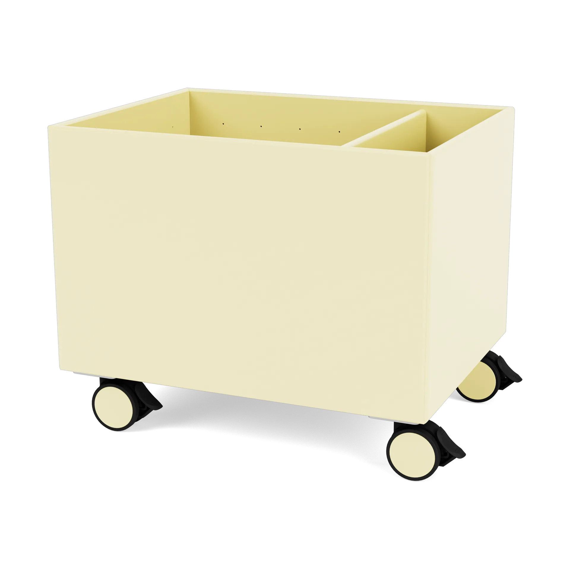 Colour Box II, Camomile Montana