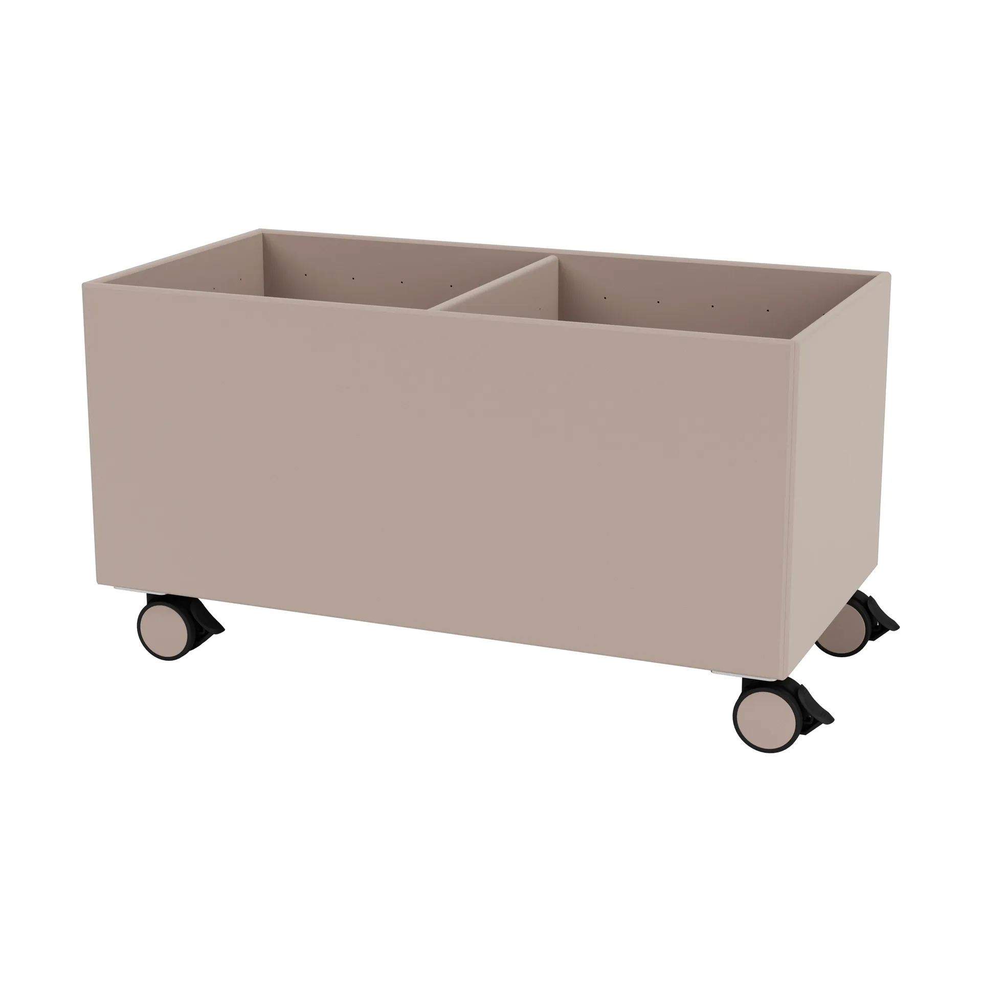 Colour Box III, Mushroom Montana