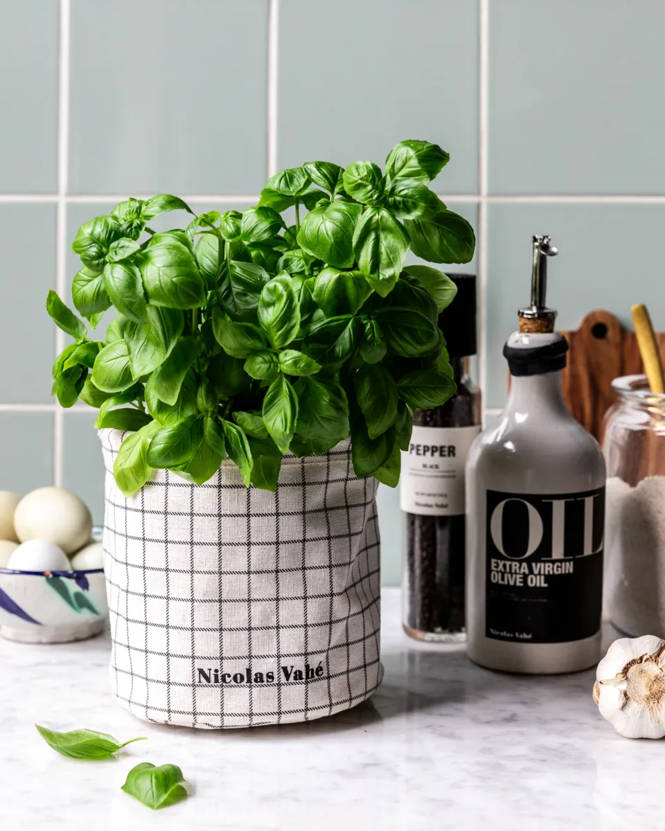 Basket Aufbewahrungskorb, Grau Nicolas Vahé