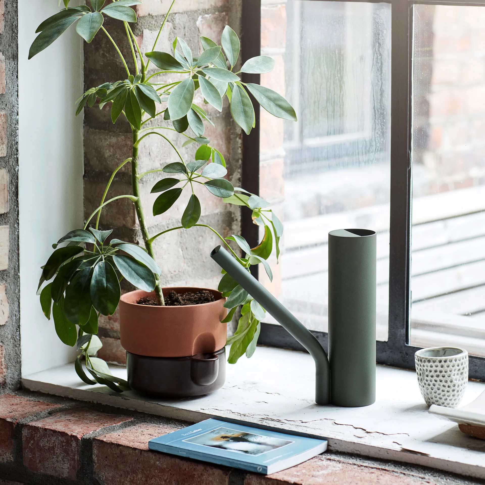 Grab Wasserkanne, Grün Northern