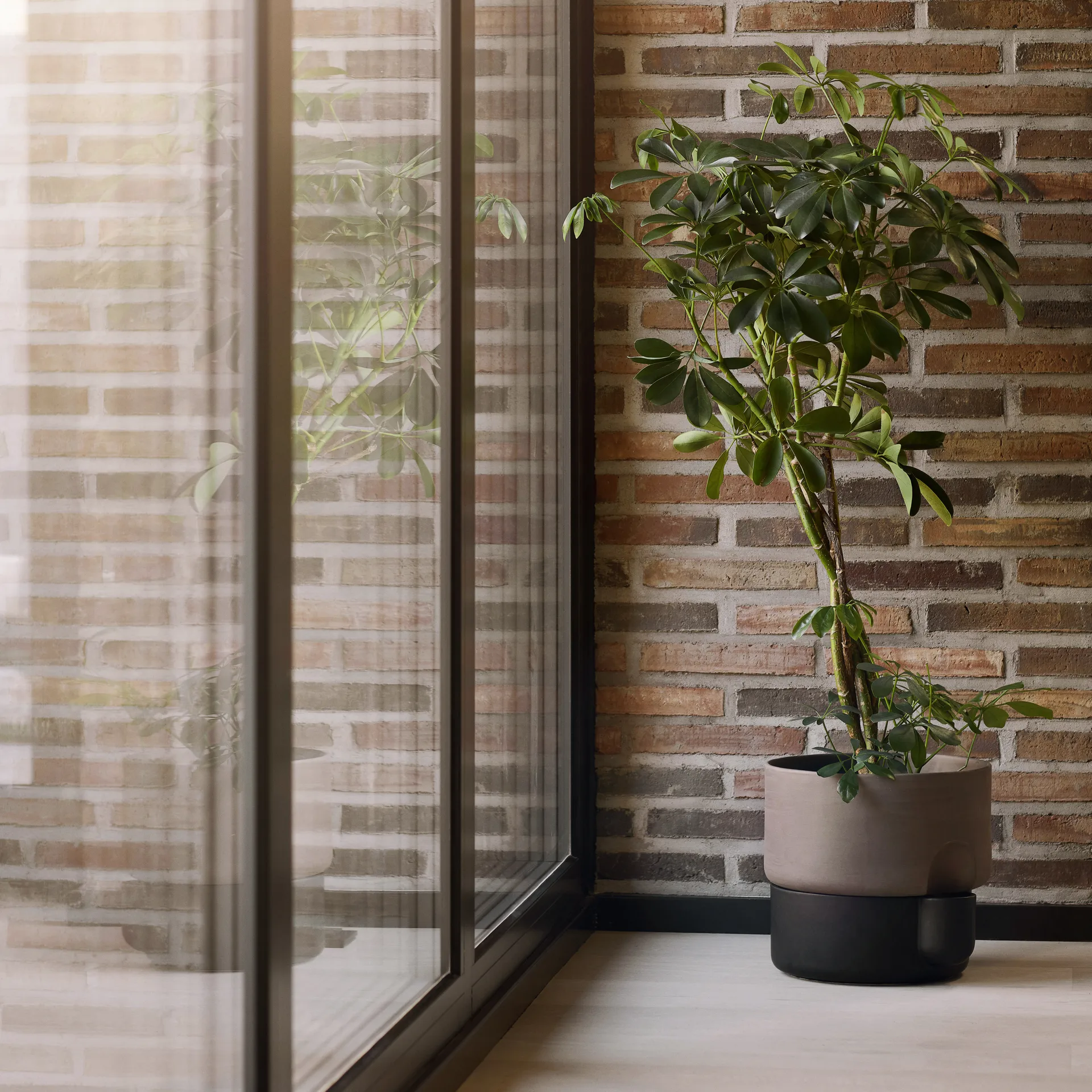 Oasis selbstbewässernder Topf groß Ø27.5 cm, Dunkelbraun Northern