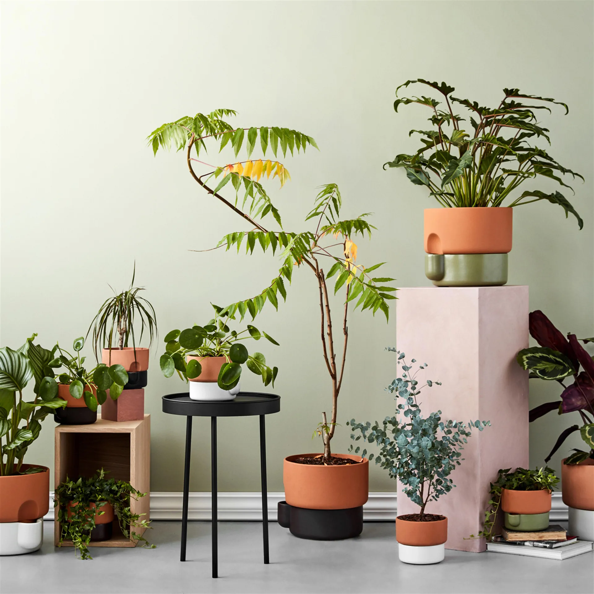 Oasis selbstbewässernder Topf groß Ø27.5 cm, Dunkelbraun Northern