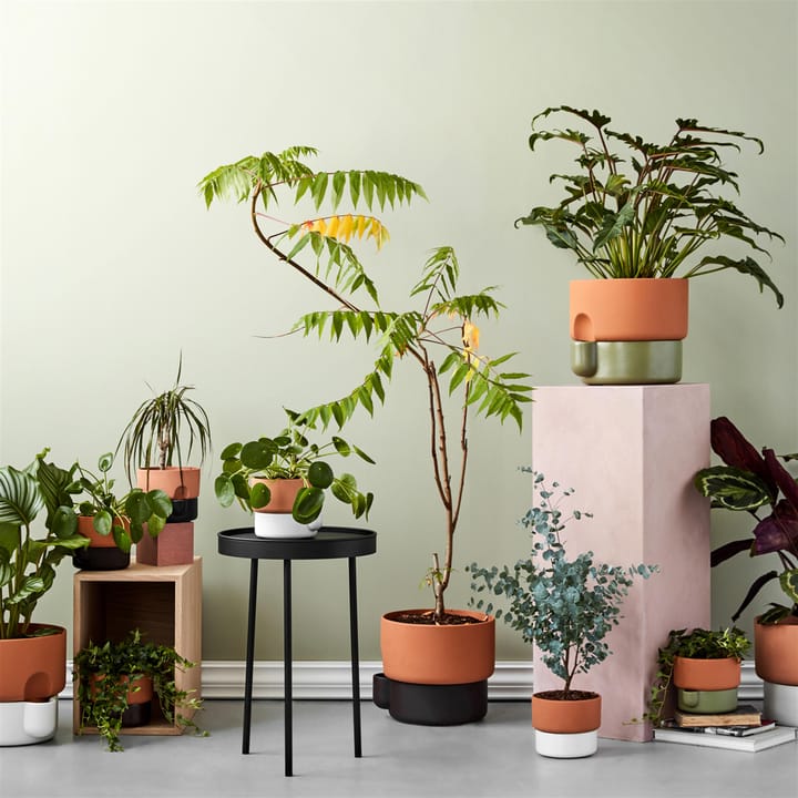 Oasis selbstbewässernder Topf groß Ø27.5 cm, Dunkelbraun Northern
