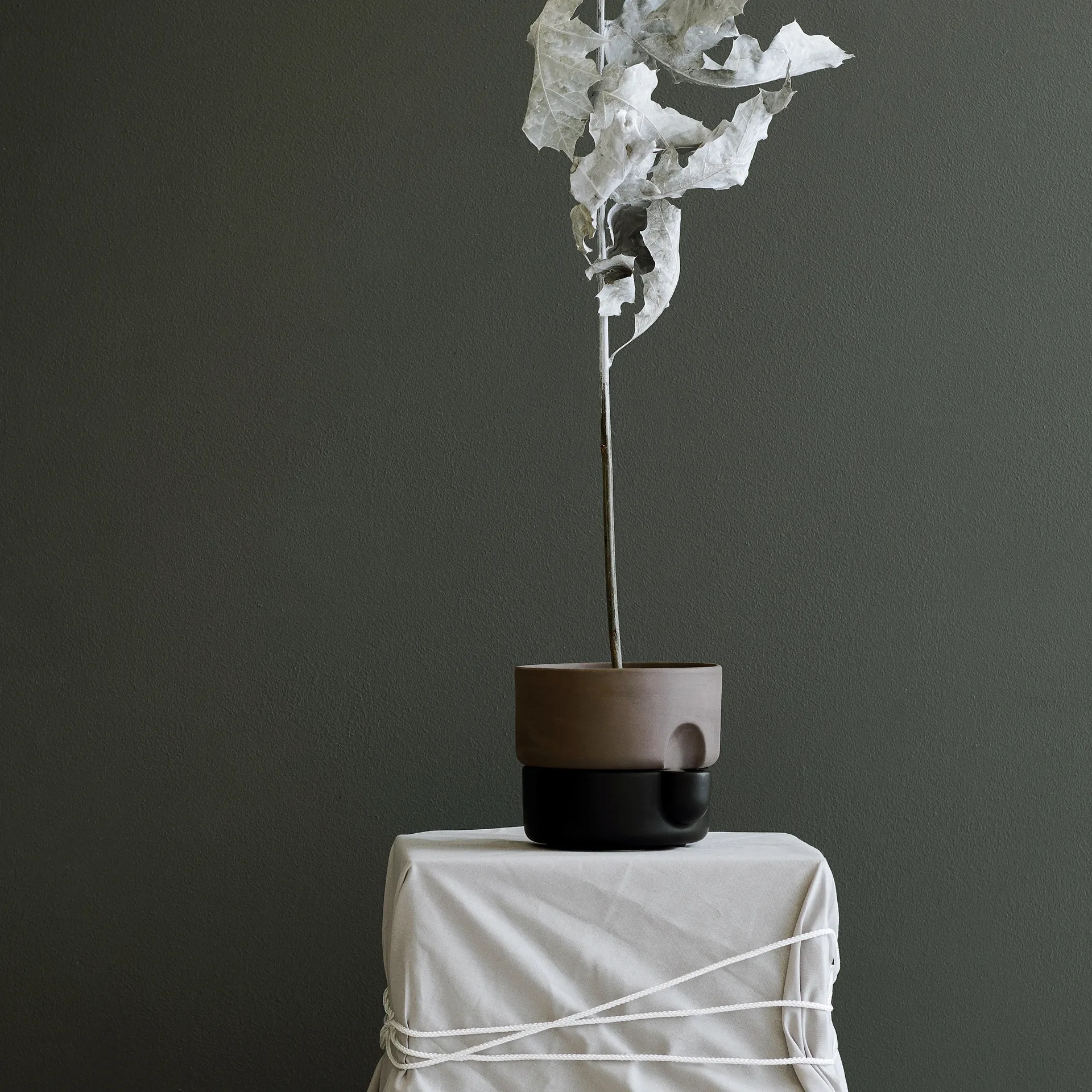 Oasis selbstbewässernder Topf klein Ø15 cm, Schwarz Northern