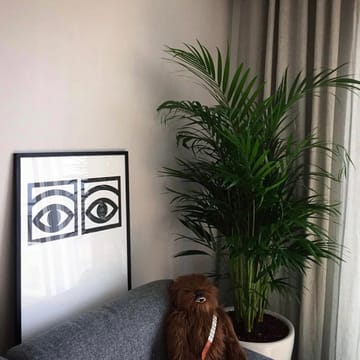 Ögon Augenpaar Poster - 50 x 70cm - Olle Eksell