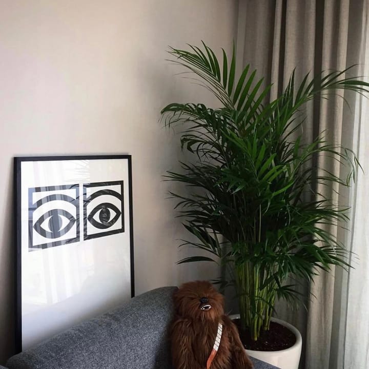 Ögon Augenpaar Poster - 50 x 70cm - Olle Eksell