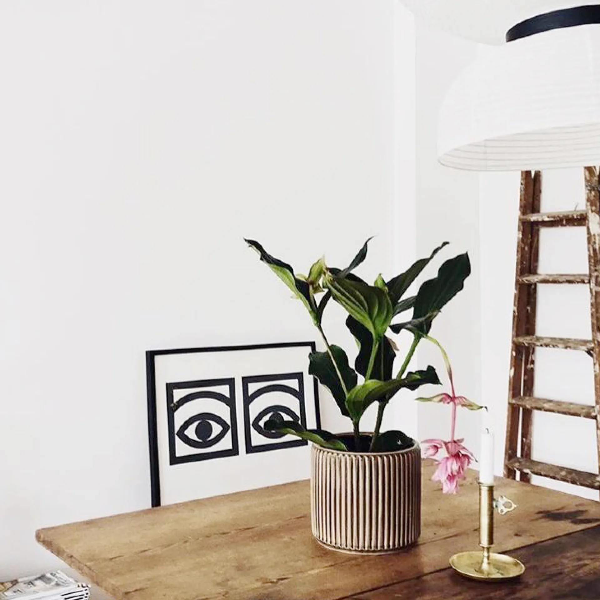 Ögon Augenpaar Poster, 70 x 100cm Olle Eksell