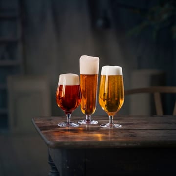 Beer Taster Bierglas 4er Pack - 4er Pack - Orrefors