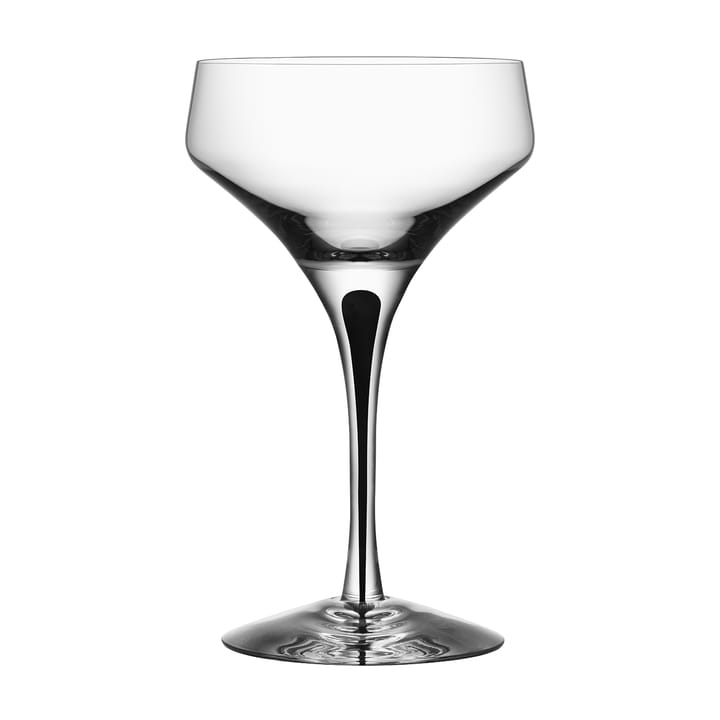 Metropol Champagnerglas 24cl - Schwarz - Orrefors