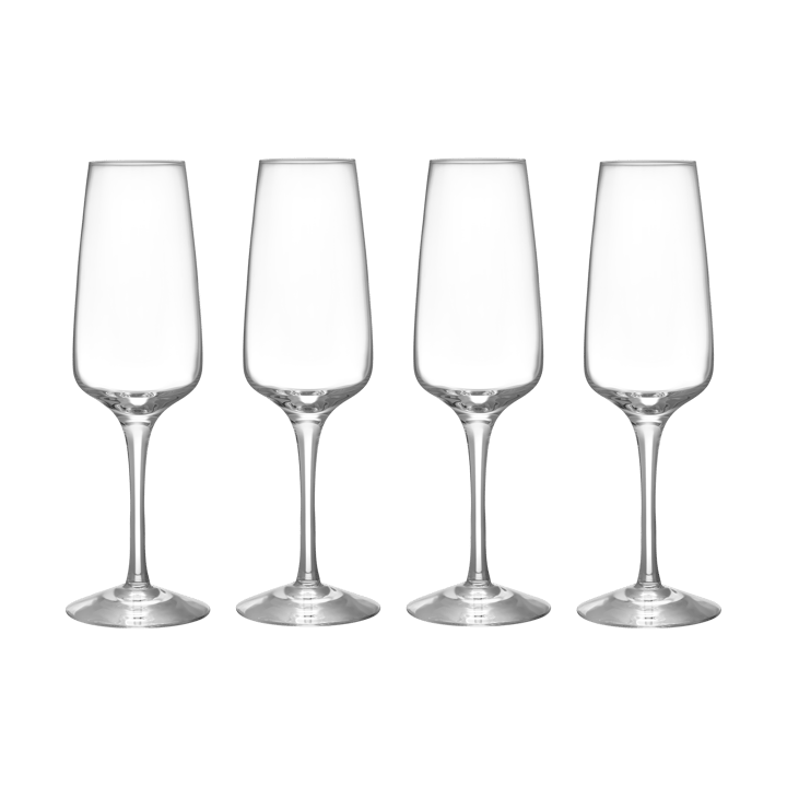 Pulse Champagnerglas 28 cl 4er Pack - Klar - Orrefors