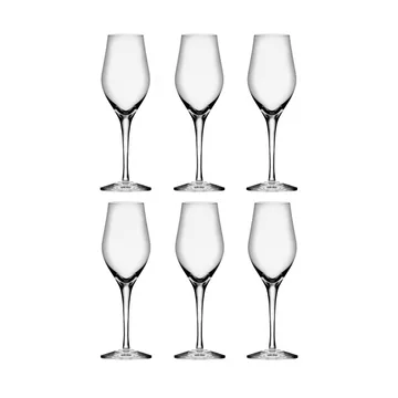 Sense Champagnerglas 25,5 cl 6er Pack - Klar - Orrefors