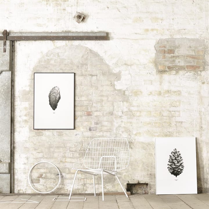 1:1 Pine Cone Poster - Weiß, 50 x 70cm - Paper Collective