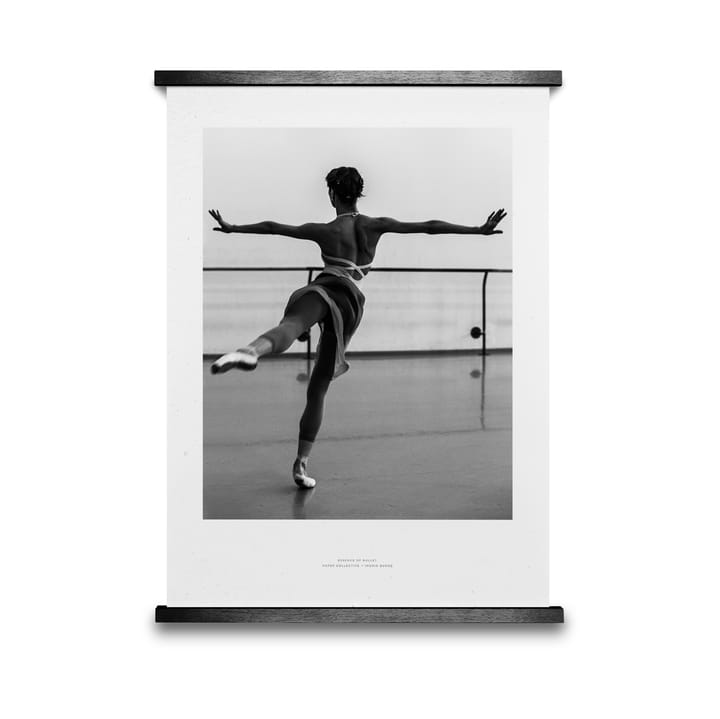 Essence of Ballet 05 Poster - 30 x 40cm - Paper Collective