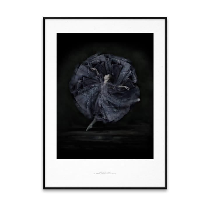 Essence of Ballet 06 Poster - 30 x 40cm - Paper Collective