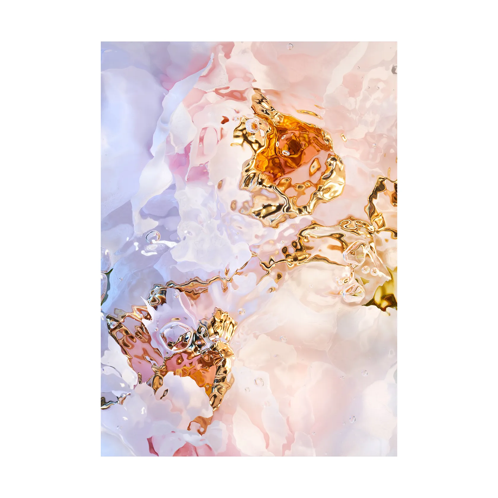 Flora Aquatica 03 Poster, 70x100 cm Paper Collective