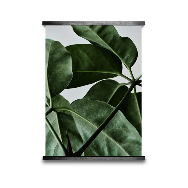 Green Home 01 Poster - 30 x 40cm - Paper Collective