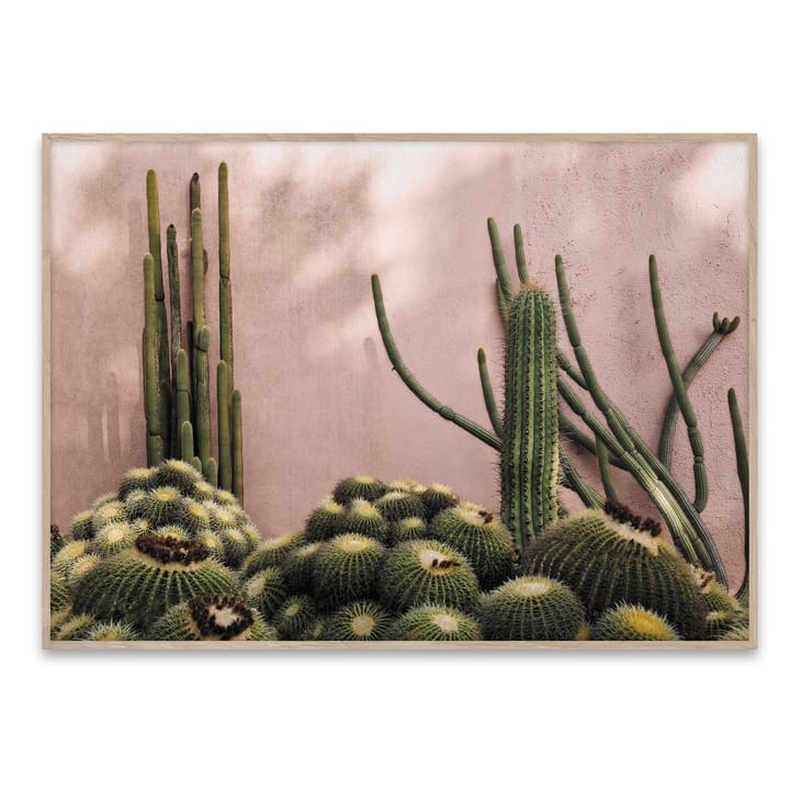 Plants on Pink Poster - 70 x 50cm - Paper Collective