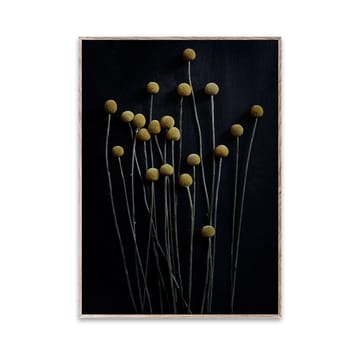 Still Life 01 Yellow Drumsticks Poster - 30 x 40cm - Paper Collective