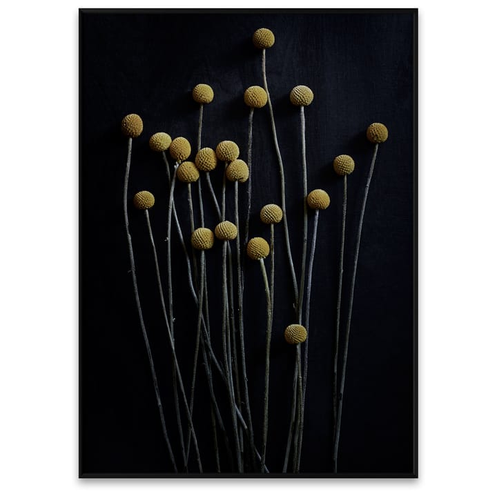 Still Life 01 Yellow Drumsticks Poster - 50 x 70cm - Paper Collective
