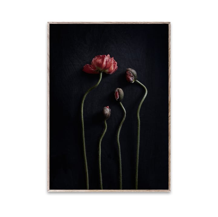 Still Life 02 Red Poppies Poster - 30 x 40cm - Paper Collective
