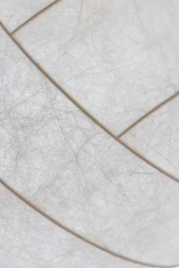 Turner 80 Pendelleuchte - Weiß - Pholc