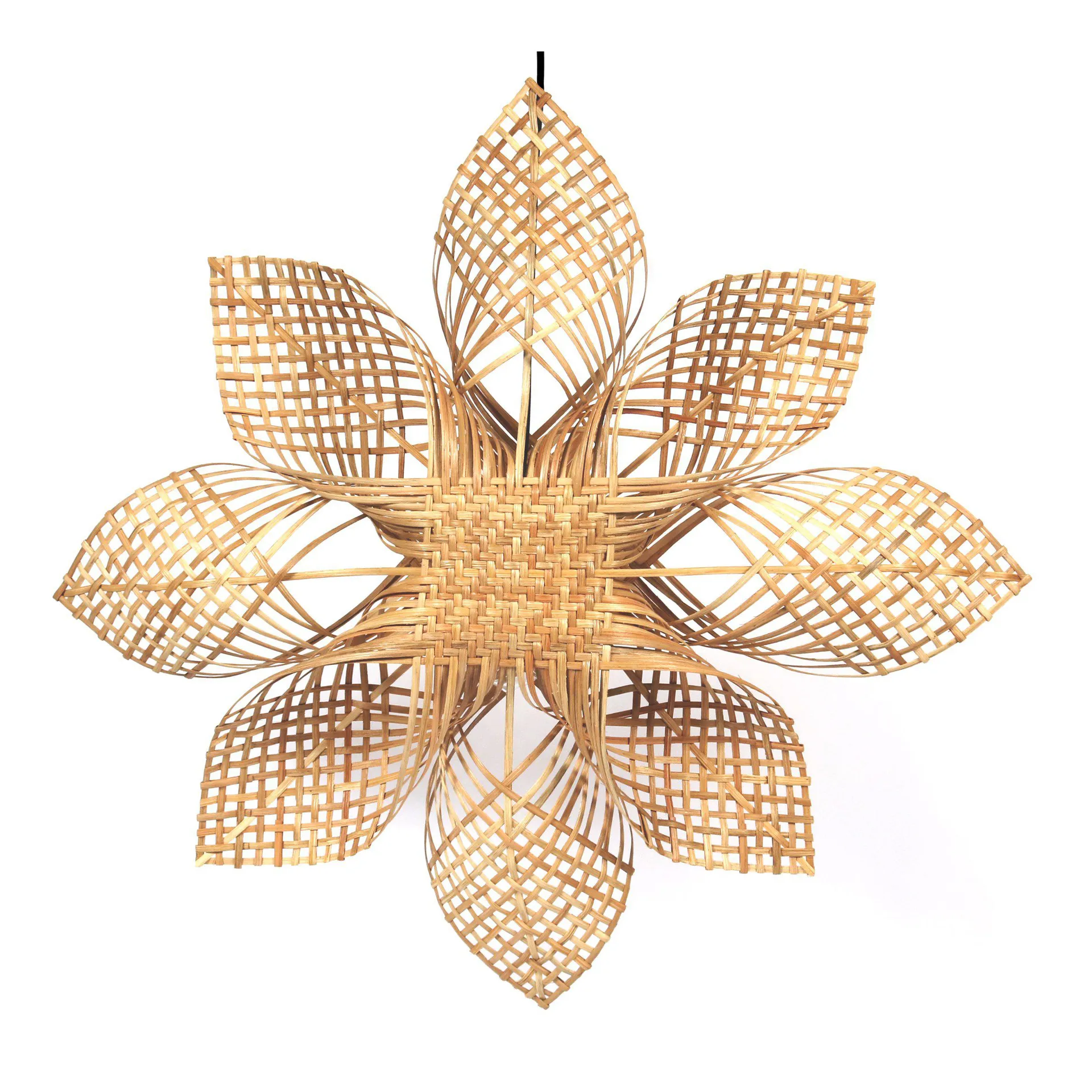 Anna Weihnachtsstern natur, 68cm PR Home