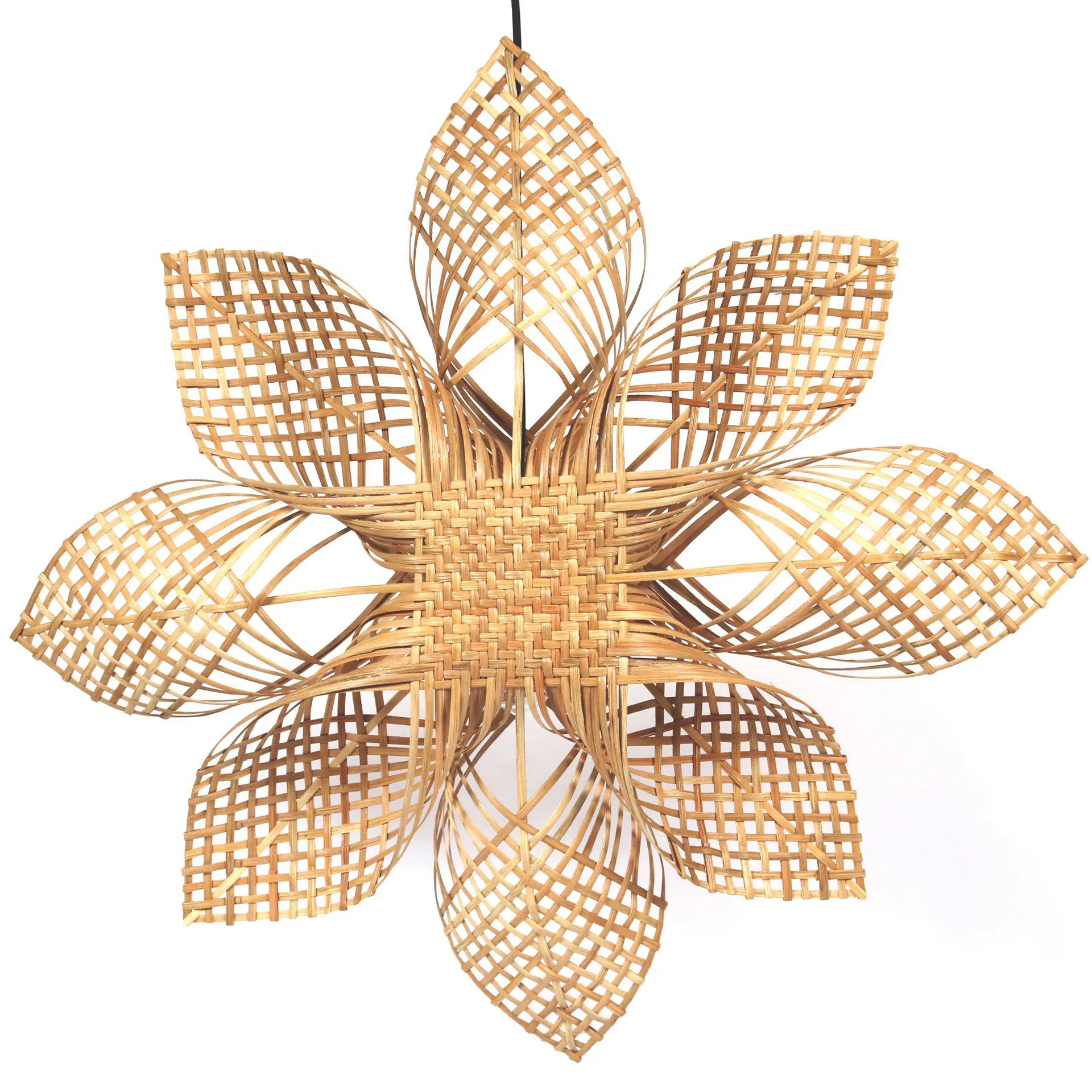 Anna Weihnachtsstern natur, 82cm PR Home