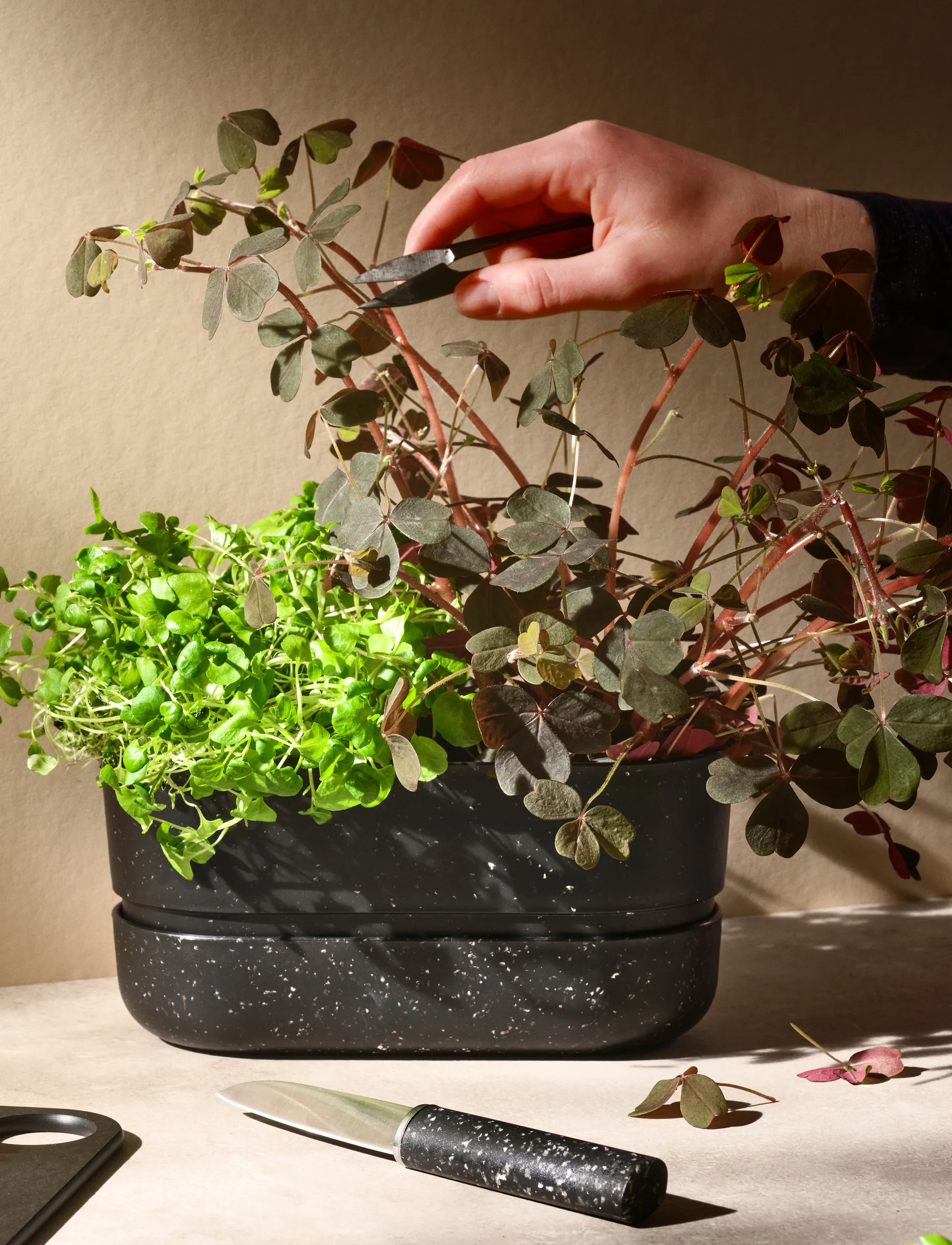 POT-IT Kräutertopf 22,2 cm, Black RIG-TIG