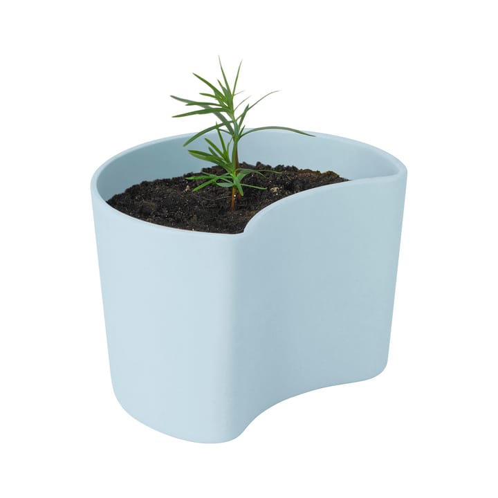 YOUR TREE Blumentopf mit Samen - Blau (Tall) - RIG-TIG