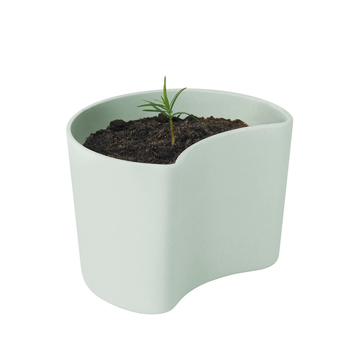 RIG-TIG YOUR TREE Blumentopf mit Samen Grün (Tall) | Skandinavisches Design | Blumentöpfe | Grün